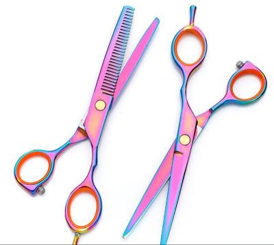 China Sustainable New Design Disc Stainless Steel Hairdressing Dogs Grooming Scissors Cat Hair Thinning for sale