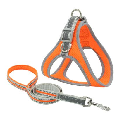 China Best Eco-Friendly Dog Cat Pet Safe Harness Set Dog Training Leashes for sale