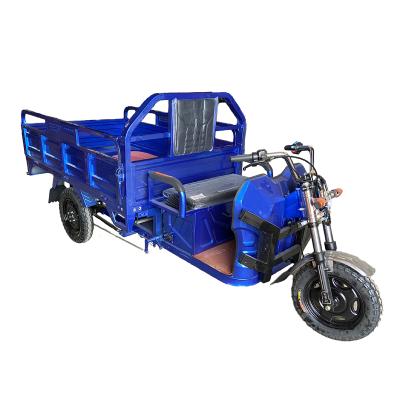 China China Factory 60V 45Ah Transport Cargo Family Cargo Tricycle 3 Wheel Electric Cargo Tricycle for sale