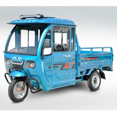 China Three Wheel 2 Wheel Passenger 60V Three Wheel Electric Cargo Transport Electric Adult Tricycle With Roof for sale