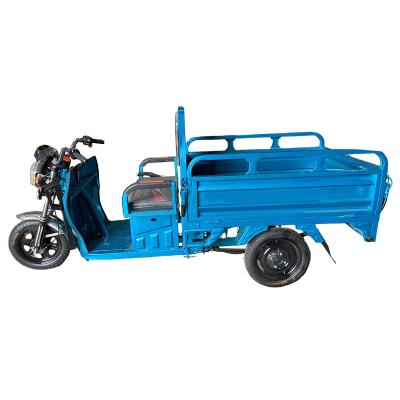 China Three wheel motorized electric tricycle pedal cars for adults 2000w enclosed 4 wheel electric tricycle for sale