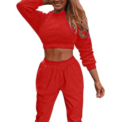 China Breathable Women's 2 Piece Outfits Workout Tracksuit Long Sleeve Crop Top Jogger Pants Set for sale