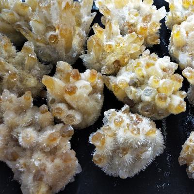 China China geode cluster natural rough yellow citrine crystal quartz druzy for decoration 1~2kg each for sale