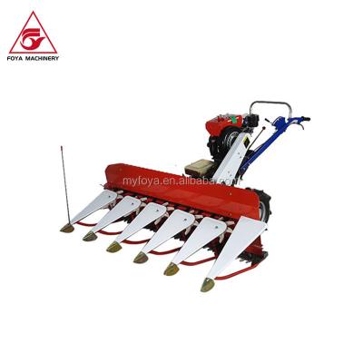 China Rice legumes walking behind small clover rice parsley bean wheat harvesting machine for sale