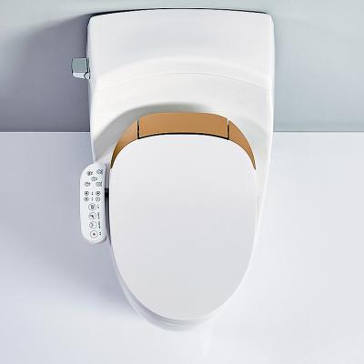 China CE Automatic Intelligent Electric Bidet Gold Function Smart Bidets Toilet Seat Cover Soft Luxury Thin Multi Electronic Bathroom for sale