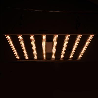 China Dual Led Switch To Grow Light Running Plant Grow Lamp Grow Tent 600w 800w Indoor Greenhouse LED Grow Lights For Indoor Plants for sale