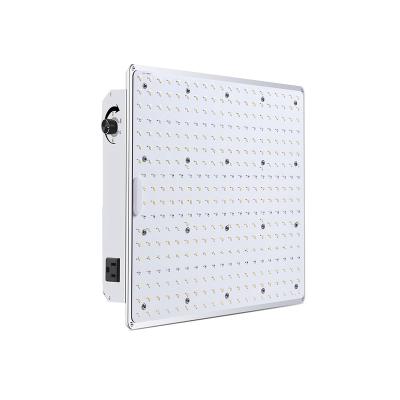 China Double switch led to grow light best selling products lm301B/301h 302h led plant bar light 640W 800W 1000W indoor medicinal plant led grow lights for sale