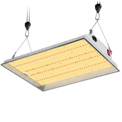 China Dual Led Switch Grow Light Competitive Price Grow Light 200W 2.5 Umol/J LED Grow Light 2000W USA Shipping for sale