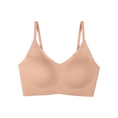 China QUICK DRY the most popular bra women's comfort soft bra comfortable fitness bra for sale