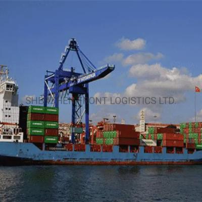 China China Sea Shipping Service From Shanghai To Paris Gudang Malaysia for sale