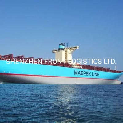 Cina Logistica del trasporto marittimo del trasporto del mare da Canton Shenzhen a Tokyo Nagoya Yokohama in vendita