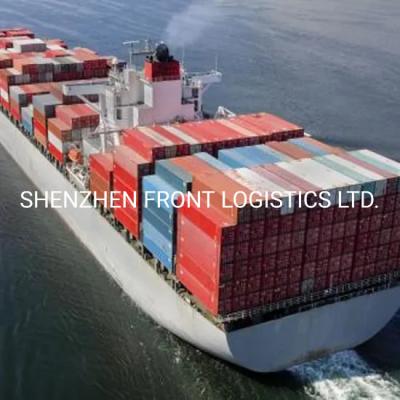 China Sea Express Shipping Ocean Freight Logistics From China To Belgium for sale