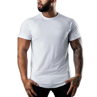 China 100% OEM Logo Blank Plain Custom Cotton Short Sleeve Anti-Shrink Cotton Men's Unisex T-Shirt for sale