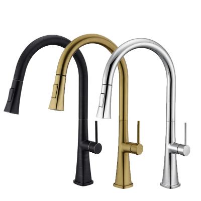 China Thermostatic Faucets New Modern Style 304 Zinc Alloy Kitchen Faucets Pull Out Pull Down Shower Kitchen Faucet With Sprayer for sale