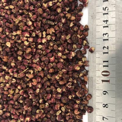 China China Low Price Dried Dry Red No Heavy Metals Zanthoxylum Organic Rhetsa Sichuan Pepper for sale