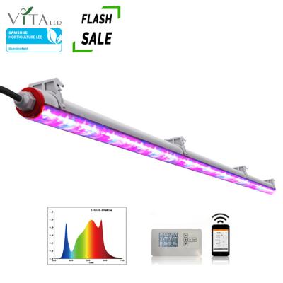 China Seed Starting Amazon Hot Sale Aluminum Plant Grow Lights Samsung Lm301h Dimmable Single Bar Led Grow Light for sale