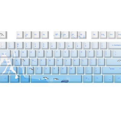 China AFLION Amazon Durable Best Selling Japanese Mechanical Keycaps Printing Klawisze Keycap Keyboard Keycap for sale