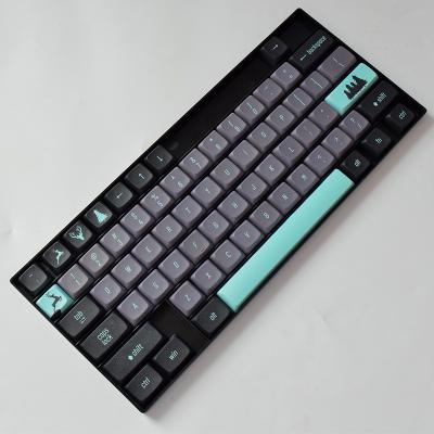 China AFLION 61K Sublimation Durable Keyboard Keycaps Wholesale Decorative Blank Pbt Low Profile Blank Keycaps for sale