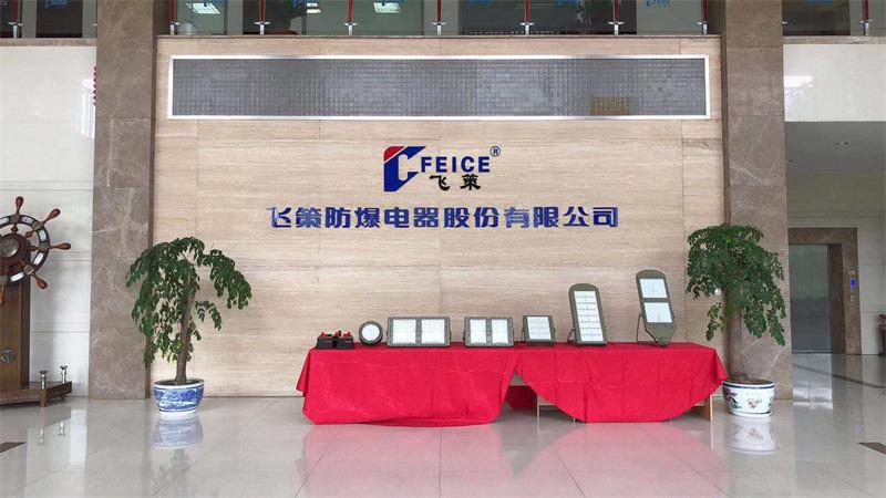 Verified China supplier - Feice Explosion Proof Electric Co., Ltd.