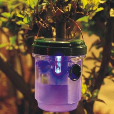 China Seicosy Sustainable High Quality Solar Led Fruit Fly Trap Eco - Friendly Pest Control for sale