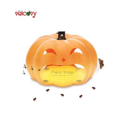 China 2020 Viable Favored-Trapest Sticky Dome Bed Bug 2 Glue Protection Trap Killer Flea Discs.Odorless Non-Toxic And Natural Family for sale