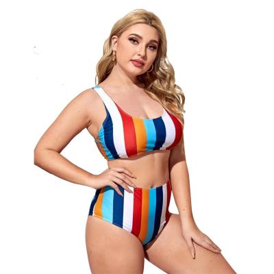 China Hot sale swimwear plus size plus size swimsuits for women bikini swimwear 2022 for sale