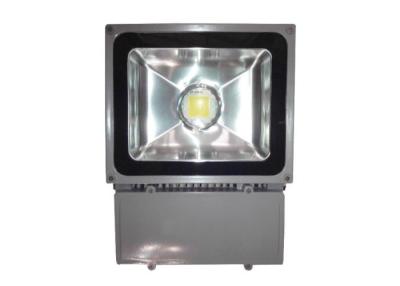 China 100W DC 24V Outdoor LED Light Fixtures Bridgelux Low Heat Emission for sale