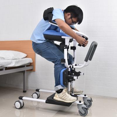 China Waterproof Hoyer Commode Disable Electric Patient Lift for sale