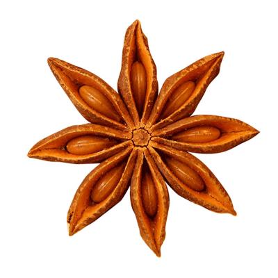 China Star Anise 100% Dry Natural Sun Dried Star Anise China Originic for sale