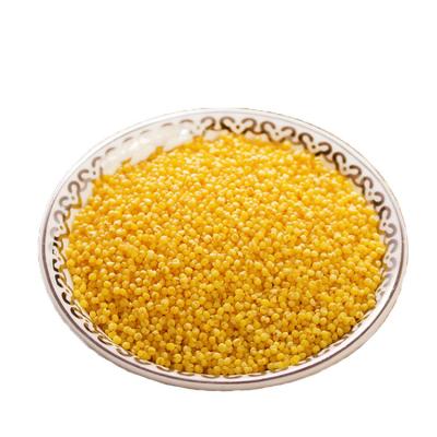 China High Nutrition Value Dry Organic Millet Grain Good For Your Health for sale