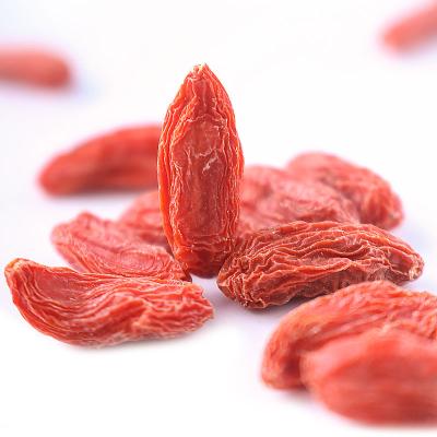 China Improve Resistance Hot Selling Gou Qi Chinese Improve Resistance Dried Black Red Wolfberry Goji Berries For Tea for sale