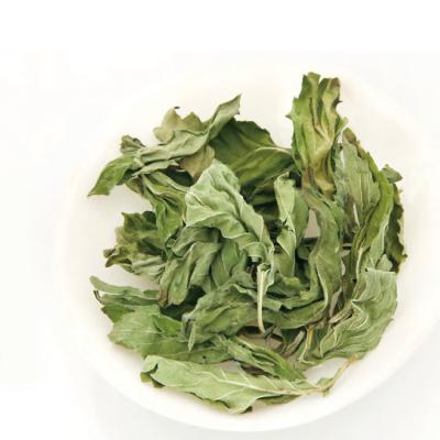 China Daily Drink Health Mint Leaves Peppermint Leaf Pure Natural Dry Tea 100% for sale