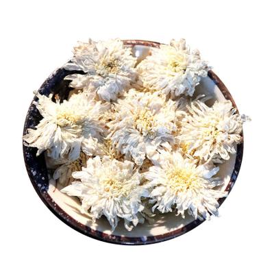 China Tea Drinks 100% Natural Dry White Chrysanthemum Bai Ju Health Flower Tea for sale