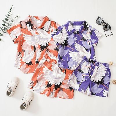 China Chinese Style Hot Selling Beach Outfit Short Sleeve Shorts Clothing Set Kids Fashionable Designer Clothes Boys for sale