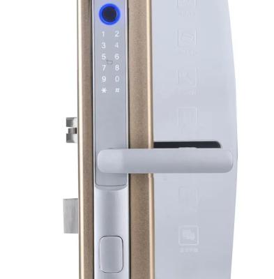 China Hotel Tuya APP Smart Lock Digital Fingerprint Door Lock For Silding Door for sale