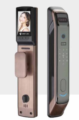 China Black Face Recognition Door Lock Smart Eye Recognition Door Lock for sale