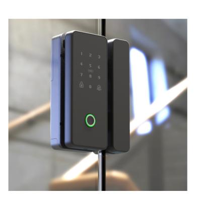 China Sluitingen met vingerafdrukken / Glass Door Smart Lock Te koop