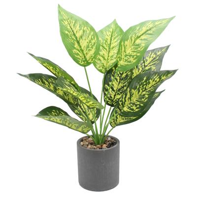 China Modern Artificial Green Evergreen Potted Plant Leaves Plants Garden Decor Creative Artificial Plant for sale