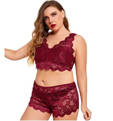 China Thermal Oversized Floral Scallop Lace Embellished Underwear Set Bra And Panties Plus Size Women's Sleepwear for sale