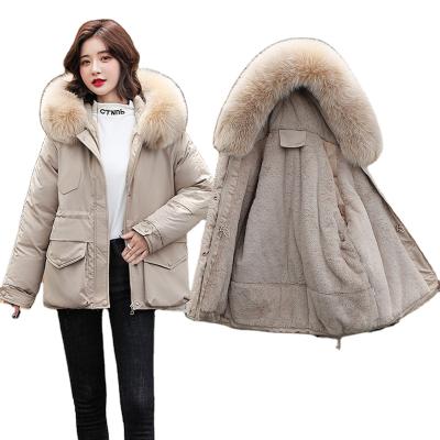 China New viable women's large fur collar detachable winter cotton ladies down coat cotton women's coat parkas for sale