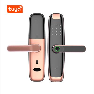 China 250 Huaruilock Waterproof Tuya cerradura TTlock Smart Door Lock Biometric Lock Fingerprint Door Handle Keyless Digital Lock for sale