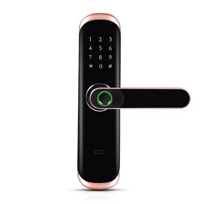 China Keyless 300 Ttlock Passcode Fingerprint Door Lock App Cerradura Digital Locks for sale