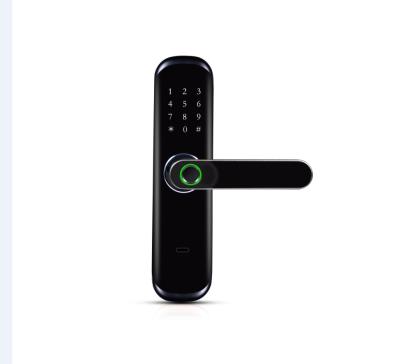 China 300 biometric Huarui lock wifi Tuya TTT lock app deadbolt smart door cerraduras fingerprint lock for sale