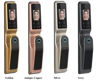 China Anti-peep Code Huarui Lock Face Recognition H10 Smart Door Lock With Eye Scanner for sale