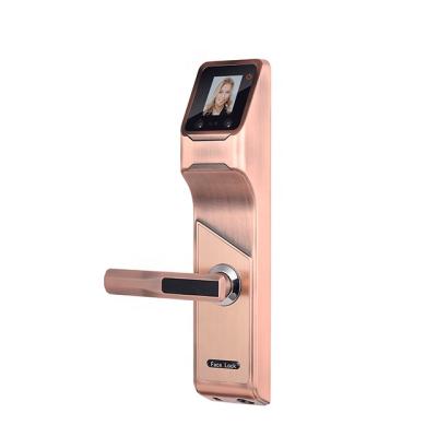 China Apartment Profession Zink Alloy Fingerprint Locking Outdoor Mailboxes Face Recognitio Smart Lock Door for sale