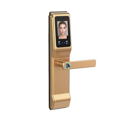 China Apartment Huarui Face Recognition Smart Door Lock And Door Lock Face Recognition for sale