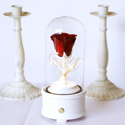 China Romantic Gorgeous Preserved Roses UO A Grade Preserved Roses 4-5 cm Led Light Music Eternal Durable Rose Forever In Glass Tube for sale