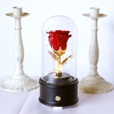 China Romantic Gorgeous Preserved Rose Glass Tube Preserved Rose Fairy Lights UO LED Real Roses And Music Box Gift For Mother Friend Thanks Giving Day for sale