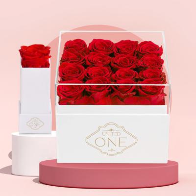 China Preserved Flower Head Eternal Dry Rose Real Touch Rose Forever Wholesale UO Preserved Romantic Long Lasting Bud Preserved Roses Bud Preserved In Box for sale