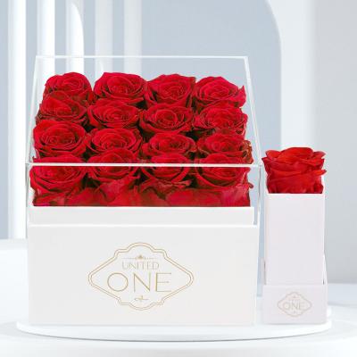 China Romantic Gorgeous Preserved Rose Forever Dried Long Life Eternal Stabilized Flower Head Real Touch Roses UO Bud Preserved Rose In Box for sale